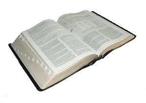 The New American Standard Bible